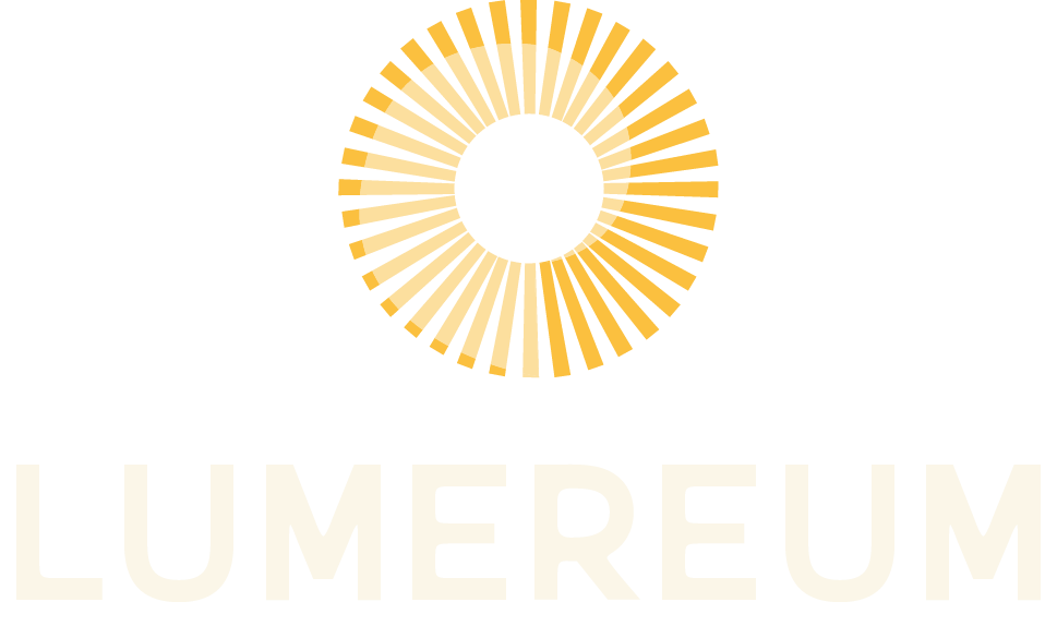 Lumereum - The Future of Business, Marketing, and AI Technology Training